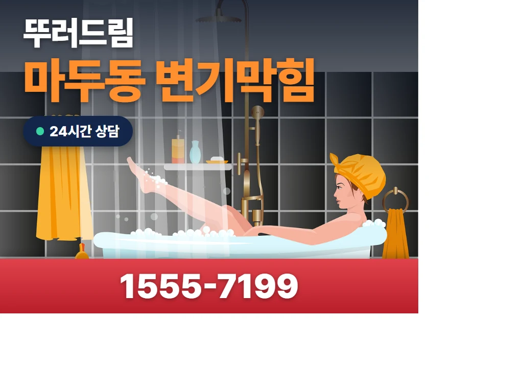 마두동 변기막힘 현장